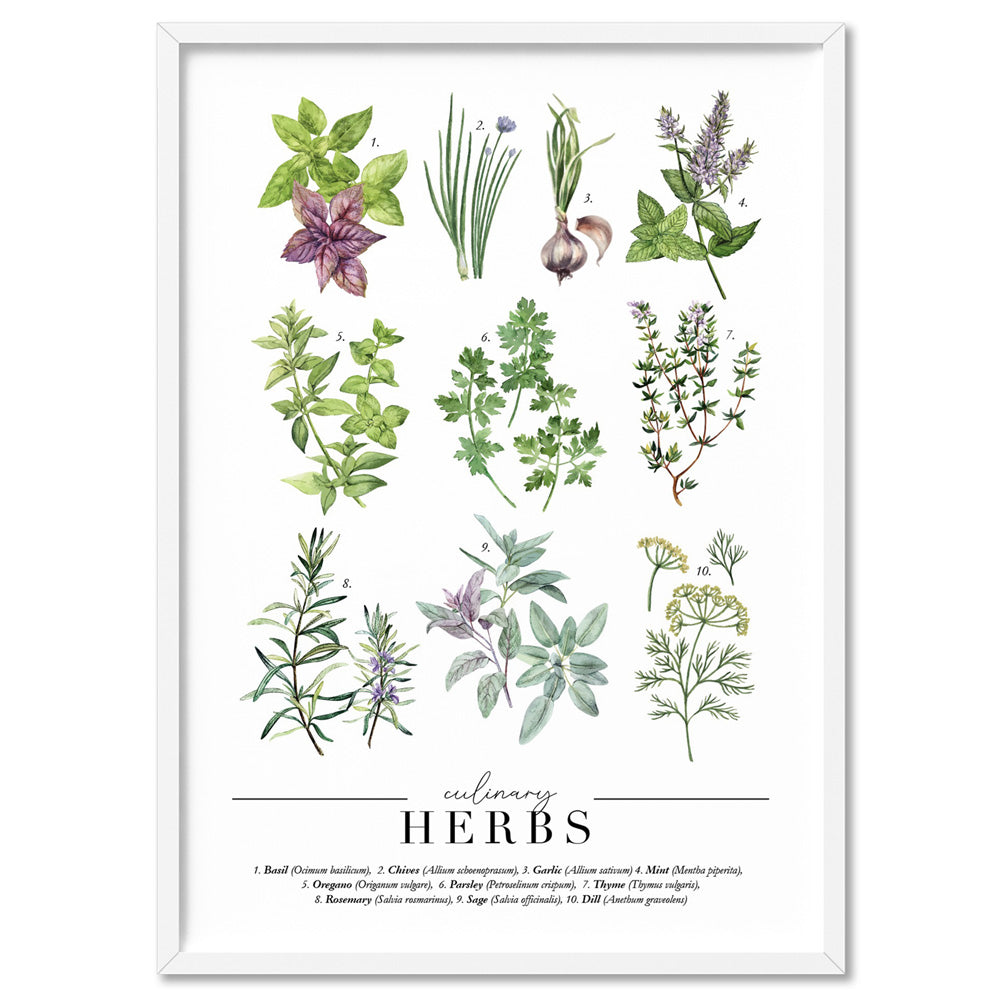 Culinary Herbs Kitchen Poster. Vintage Style Herbs Chart Print – Print ...
