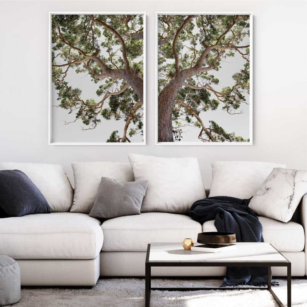 Majestic Gum II - Art Print, Poster, Stretched Canvas or Framed Wall Art, shown framed in a home interior space