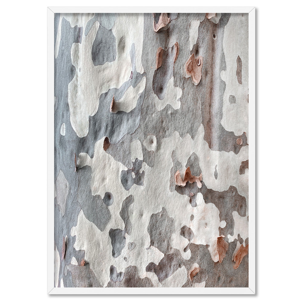 Gumtree Wall Art Print. Eucalyptus Blue Gum Bark Photography Poster