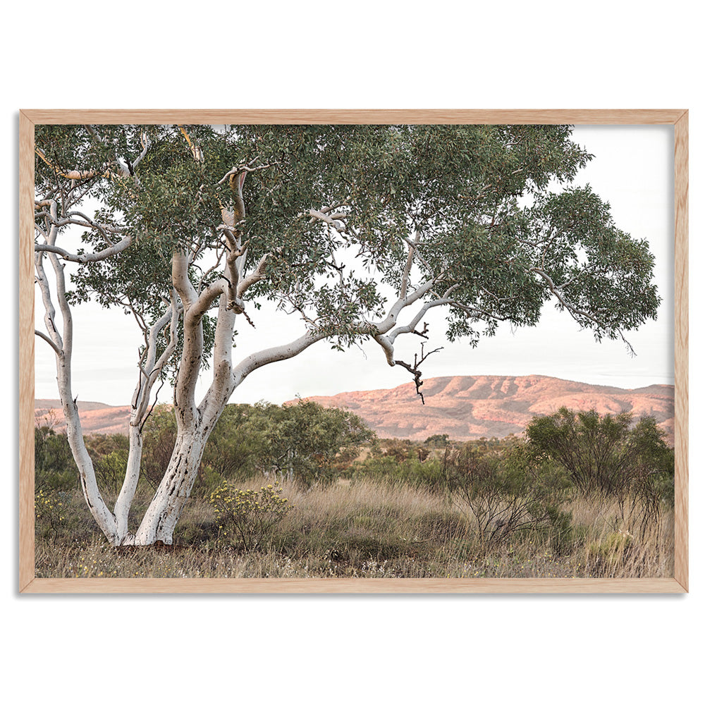 Gumtree Outback Landscape I - Art Print, Poster, Stretched Canvas, or Framed Wall Art Print, shown in a natural timber frame