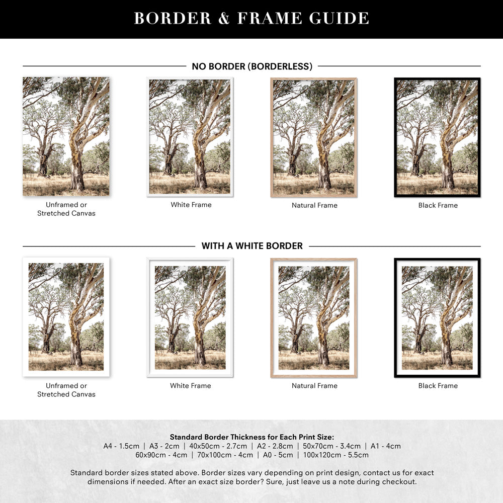Among the Gumtrees III - Art Print, Poster, Stretched Canvas or Framed Wall Art, Showing White , Black, Natural Frame Colours, No Frame (Unframed) or Stretched Canvas, and With or Without White Borders