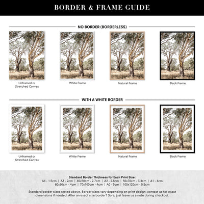 Among the Gumtrees III - Art Print, Poster, Stretched Canvas or Framed Wall Art, Showing White , Black, Natural Frame Colours, No Frame (Unframed) or Stretched Canvas, and With or Without White Borders