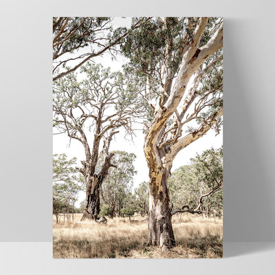 Among the Gumtrees III - Art Print, Poster, Stretched Canvas, or Framed Wall Art Print, shown as a stretched canvas or poster without a frame
