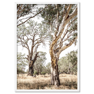 Among the Gumtrees III - Art Print, Poster, Stretched Canvas, or Framed Wall Art Print, shown in a white frame