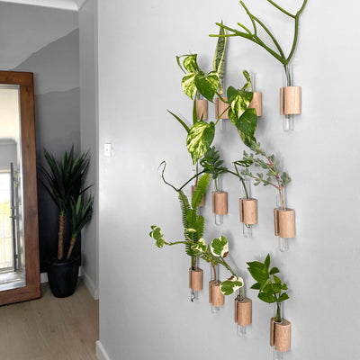 Glass Test Tube Hanging Planters - Set of 12 shown on the wall indoors.