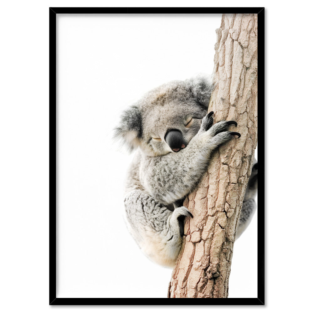 Koala Sleeping II - Art Print, Poster, Stretched Canvas, or Framed Wall Art Print, shown in a black frame