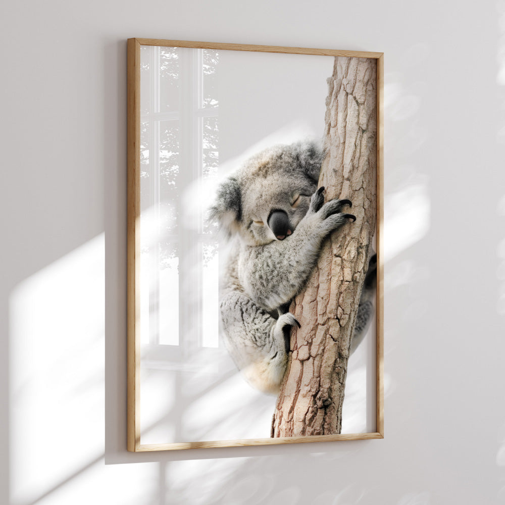 Koala Sleeping II - Art Print, Poster, Stretched Canvas or Framed Wall Art Prints, shown framed in a room