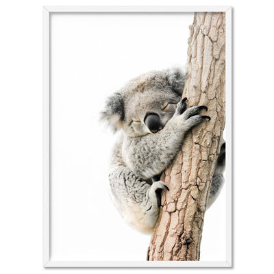 Koala Sleeping II - Art Print, Poster, Stretched Canvas, or Framed Wall Art Print, shown in a white frame