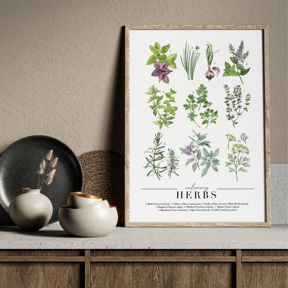 Culinary Herbs Chart - Art Print, Poster, Stretched Canvas or Framed Wall Art Prints, shown framed in a room