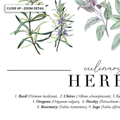 Culinary Herbs Chart - Art Print, Poster, Stretched Canvas or Framed Wall Art, Close up View of Print Resolution