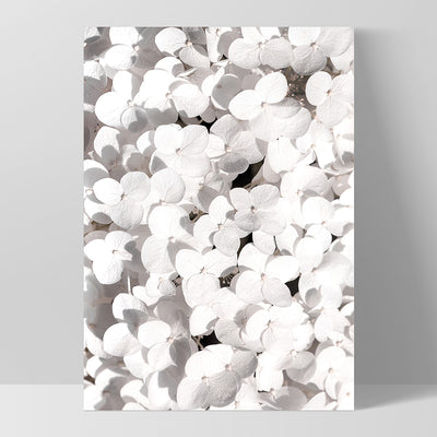 White Hydrangea Detail - Art Print, Poster, Stretched Canvas, or Framed Wall Art Print, shown as a stretched canvas or poster without a frame