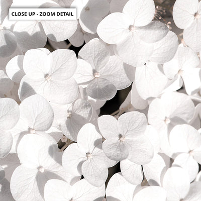 White Hydrangea Detail - Art Print, Poster, Stretched Canvas or Framed Wall Art, Close up View of Print Resolution