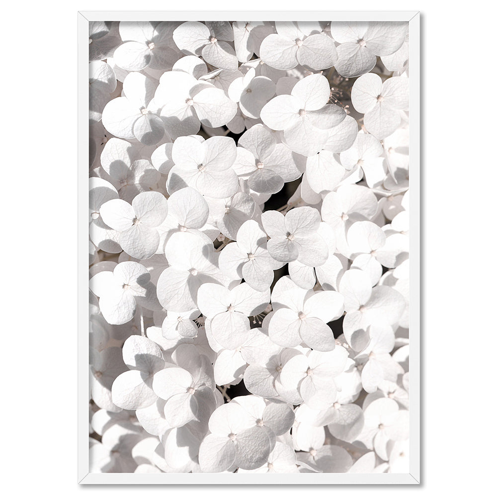White Hydrangea Detail - Art Print, Poster, Stretched Canvas, or Framed Wall Art Print, shown in a white frame