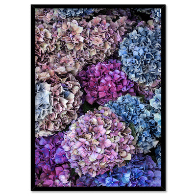 Purple & Pink Hydrangea Detail - Art Print, Poster, Stretched Canvas, or Framed Wall Art Print, shown in a black frame
