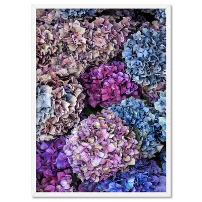 Purple & Pink Hydrangea Detail - Art Print, Poster, Stretched Canvas, or Framed Wall Art Print, shown in a white frame