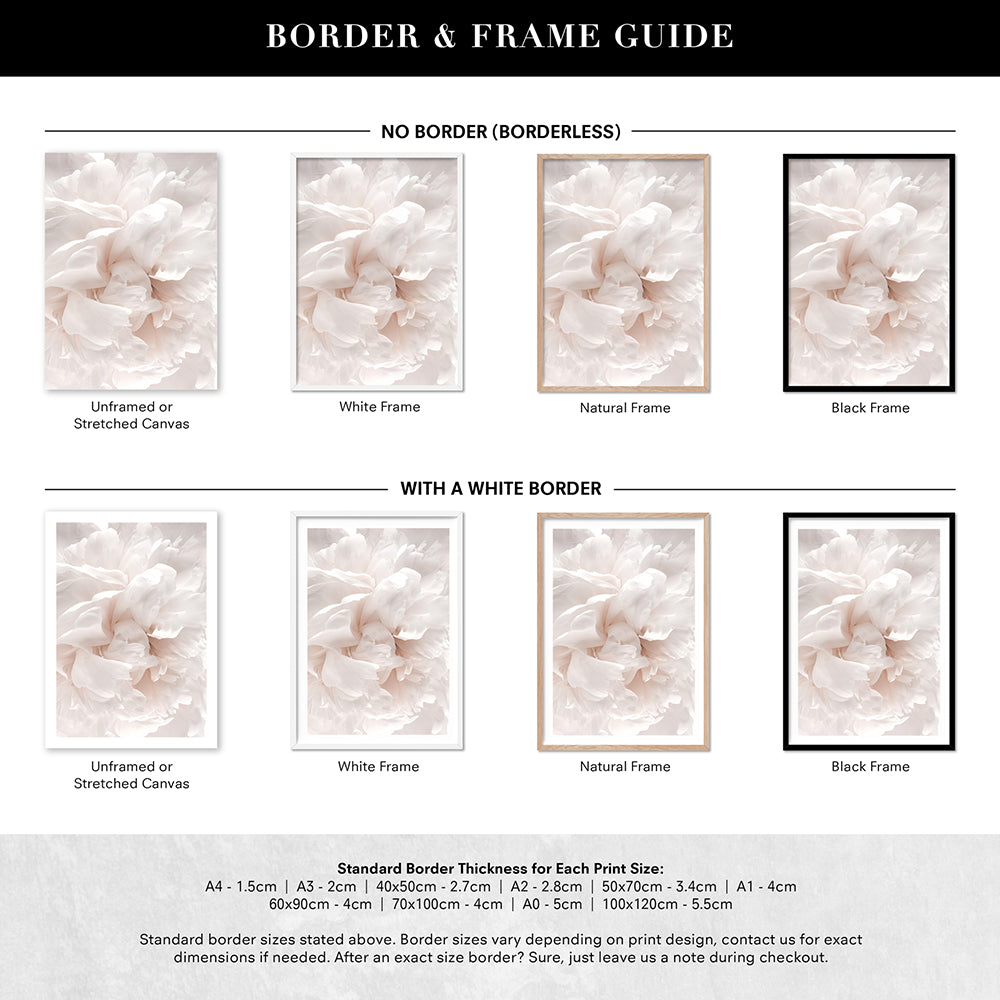 Peony Dance I - Art Print, Poster, Stretched Canvas or Framed Wall Art, Showing White , Black, Natural Frame Colours, No Frame (Unframed) or Stretched Canvas, and With or Without White Borders