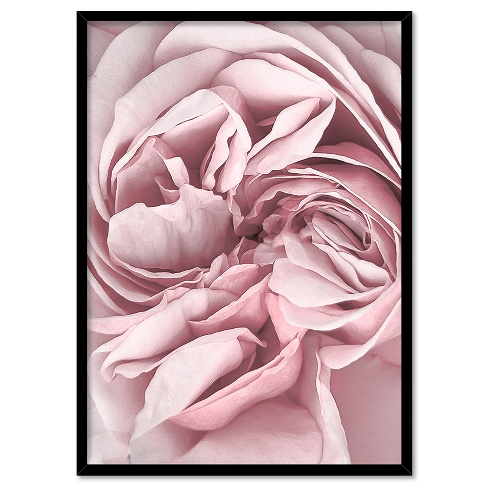 Peony Dance II - Art Print, Poster, Stretched Canvas, or Framed Wall Art Print, shown in a black frame