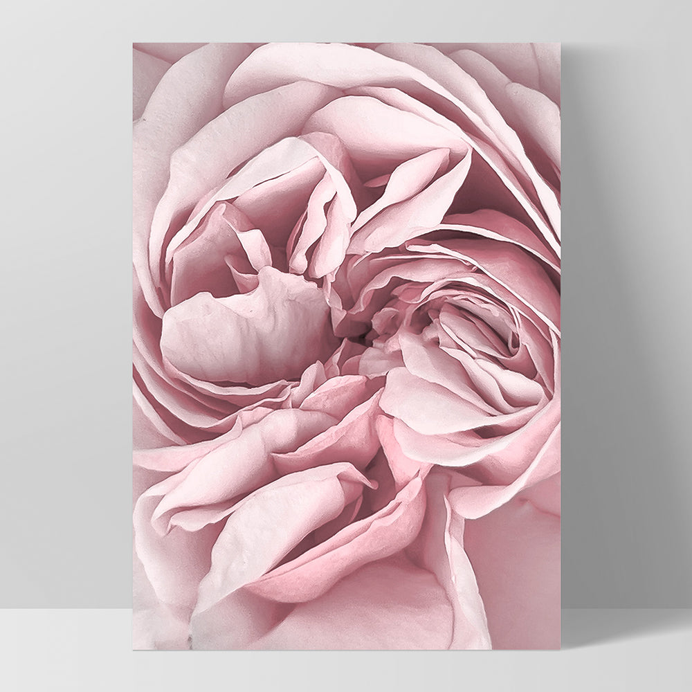 Peony Dance II - Art Print, Poster, Stretched Canvas, or Framed Wall Art Print, shown as a stretched canvas or poster without a frame