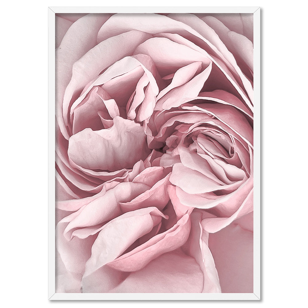 Peony Dance II - Art Print, Poster, Stretched Canvas, or Framed Wall Art Print, shown in a white frame