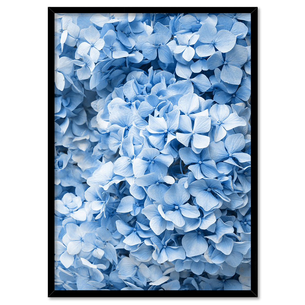 Blue Hydrangea Detail - Art Print, Poster, Stretched Canvas, or Framed Wall Art Print, shown in a black frame