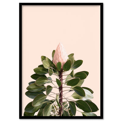 King Protea en Blush - Art Print, Poster, Stretched Canvas, or Framed Wall Art Print, shown in a black frame