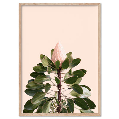 King Protea en Blush - Art Print, Poster, Stretched Canvas, or Framed Wall Art Print, shown in a natural timber frame