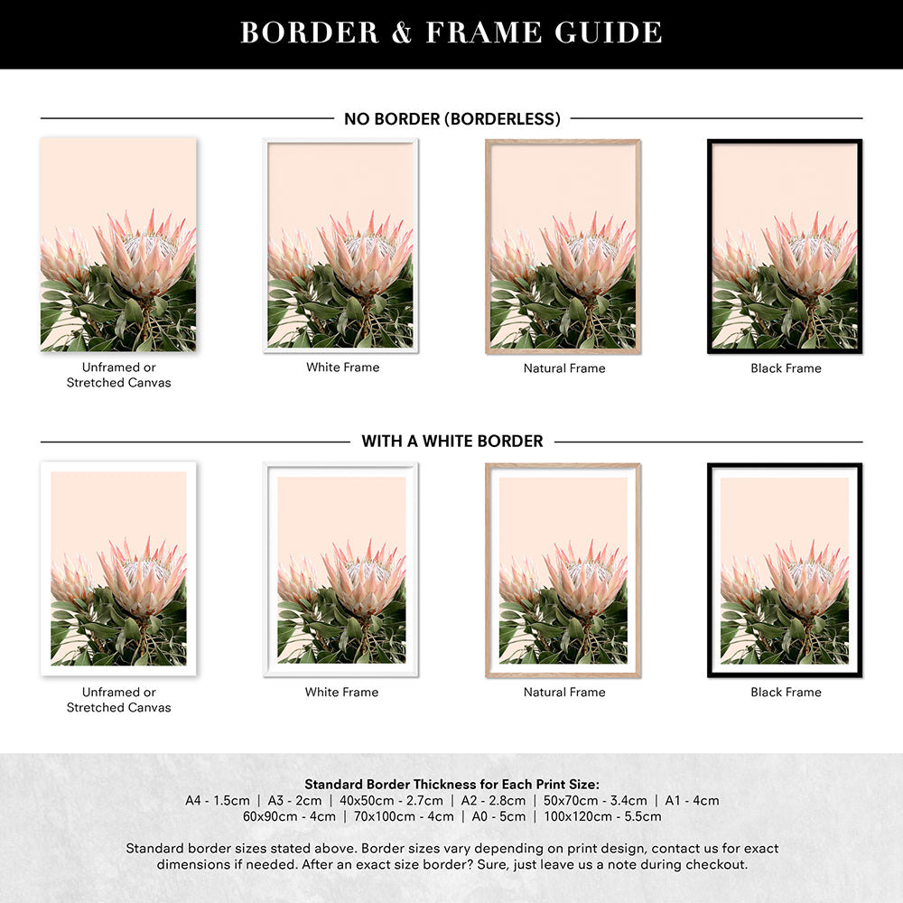 Protea Duo en Blush - Art Print, Poster, Stretched Canvas or Framed Wall Art, Showing White , Black, Natural Frame Colours, No Frame (Unframed) or Stretched Canvas, and With or Without White Borders