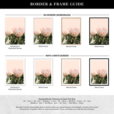 Protea Duo en Blush - Art Print, Poster, Stretched Canvas or Framed Wall Art, Showing White , Black, Natural Frame Colours, No Frame (Unframed) or Stretched Canvas, and With or Without White Borders