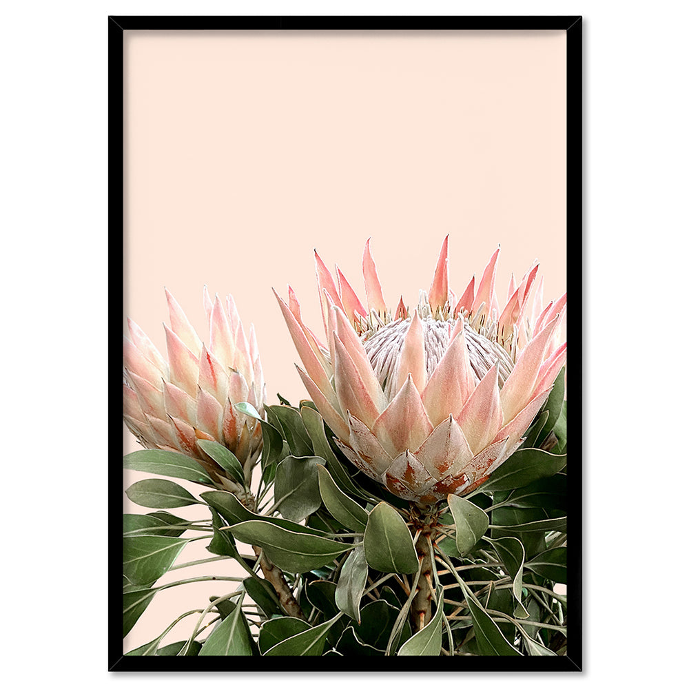 Protea Duo en Blush - Art Print, Poster, Stretched Canvas, or Framed Wall Art Print, shown in a black frame