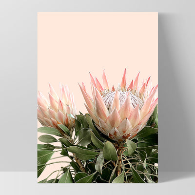 Protea Duo en Blush - Art Print, Poster, Stretched Canvas, or Framed Wall Art Print, shown as a stretched canvas or poster without a frame