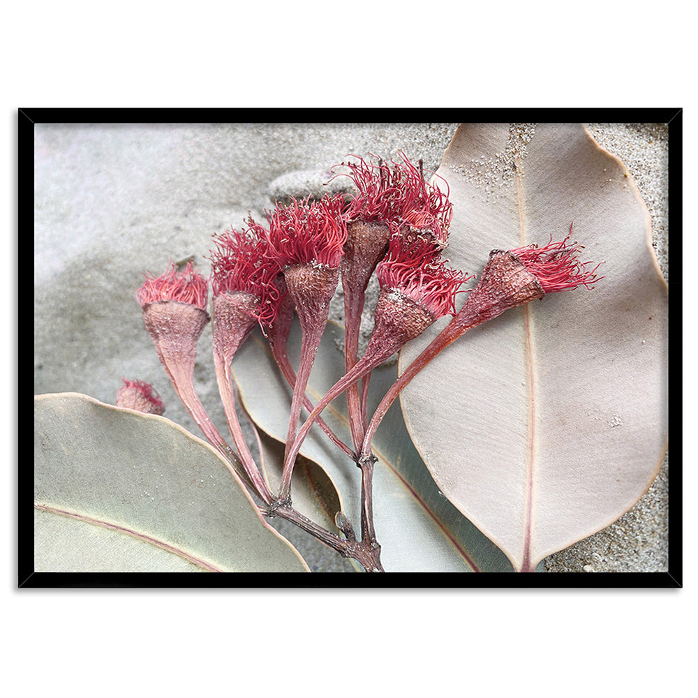 Dried Gum Flowers on the Beach Landscape - Art Print, Poster, Stretched Canvas, or Framed Wall Art Print, shown in a black frame