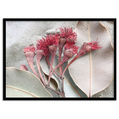 Dried Gum Flowers on the Beach Landscape - Art Print, Poster, Stretched Canvas, or Framed Wall Art Print, shown in a black frame