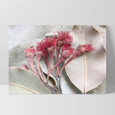 Dried Gum Flowers on the Beach Landscape - Art Print, Poster, Stretched Canvas, or Framed Wall Art Print, shown as a stretched canvas or poster without a frame