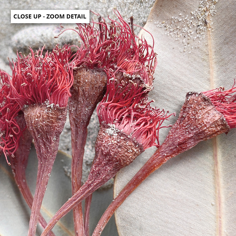 Dried Gum Flowers on the Beach Landscape - Art Print, Poster, Stretched Canvas or Framed Wall Art, Close up View of Print Resolution