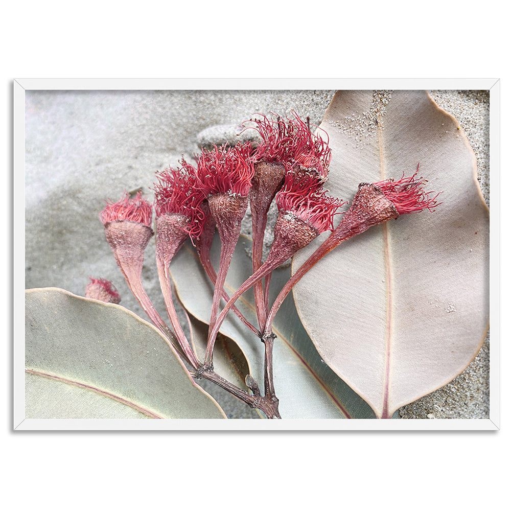 Dried Gum Flowers on the Beach Landscape - Art Print, Poster, Stretched Canvas, or Framed Wall Art Print, shown in a white frame