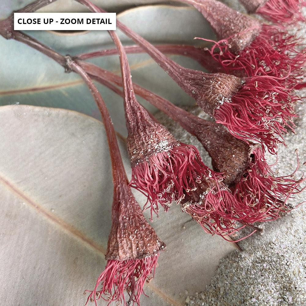 Dried Gum Flowers on the Beach - Art Print, Poster, Stretched Canvas or Framed Wall Art, Close up View of Print Resolution