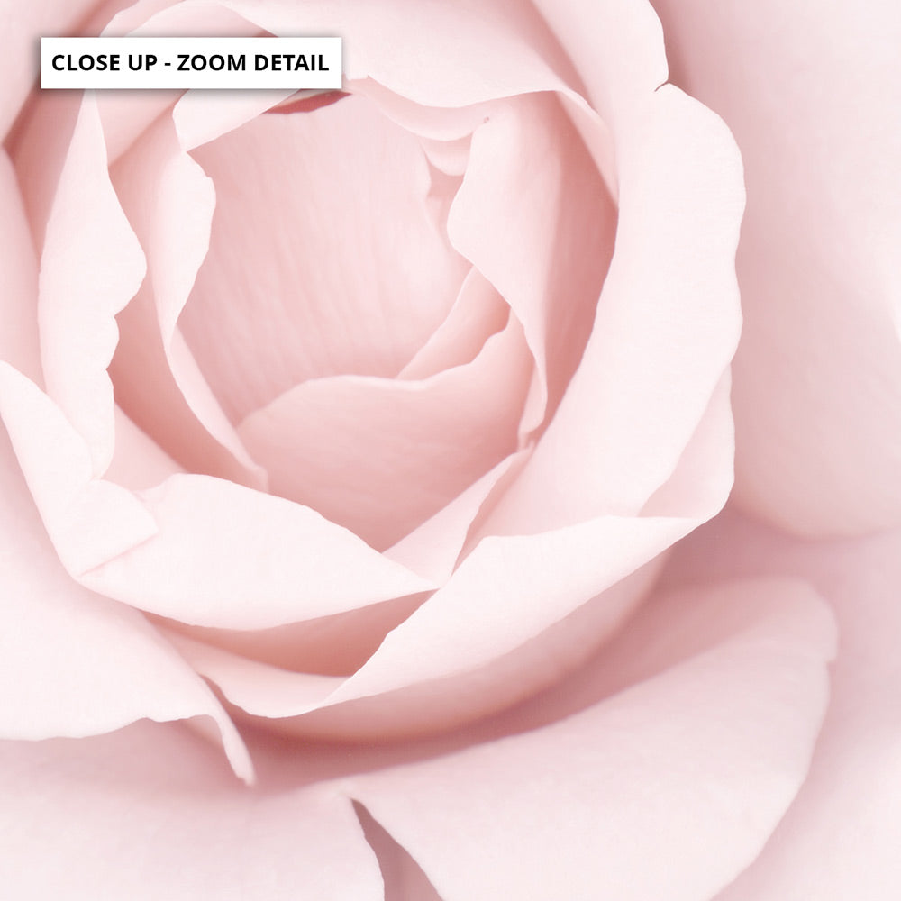 Rose Dance I - Art Print, Poster, Stretched Canvas or Framed Wall Art, Close up View of Print Resolution