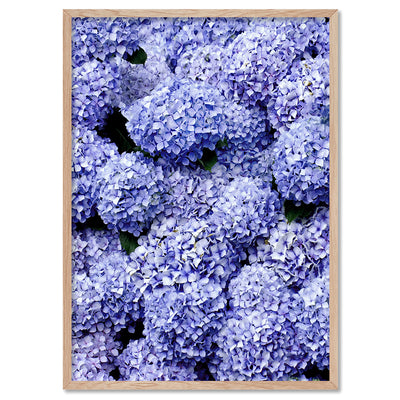 Purple Hydrangea Detail - Art Print, Poster, Stretched Canvas, or Framed Wall Art Print, shown in a natural timber frame