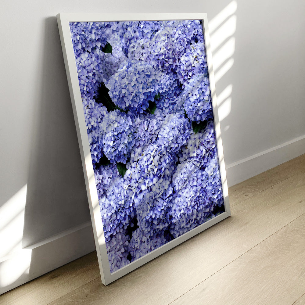Purple Hydrangea Detail - Art Print, Poster, Stretched Canvas or Framed Wall Art Prints, shown framed in a room