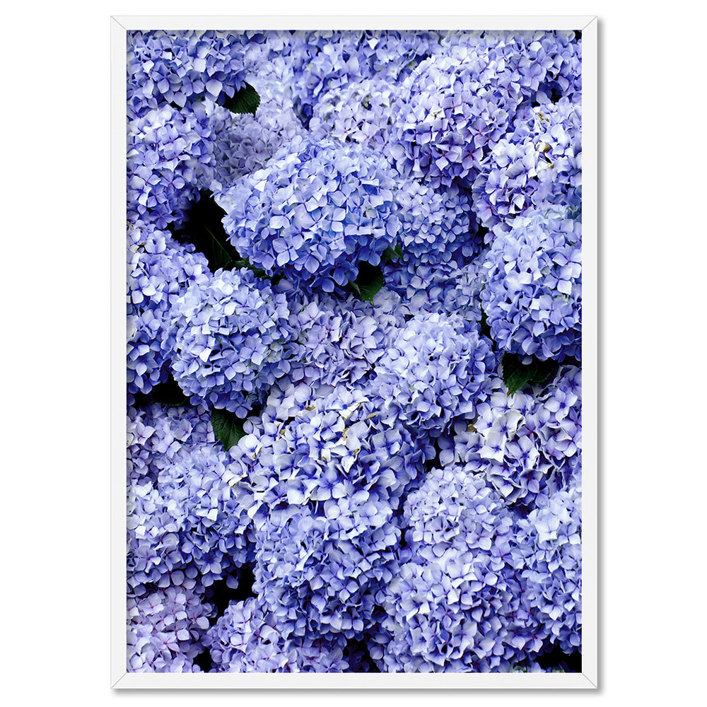 Purple Hydrangea Detail - Art Print, Poster, Stretched Canvas, or Framed Wall Art Print, shown in a white frame