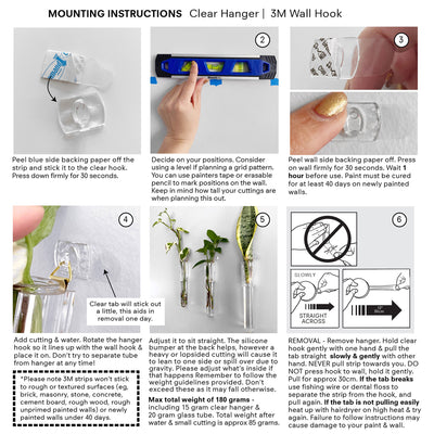 Test Tube Plant Hanger - mounting option instructions, for removable 3m hook wall mounting method.