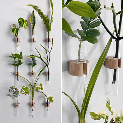 Wall Plant Garden Test Tube Vases - Set of 9 shown on the wall including detailed photo showing quality