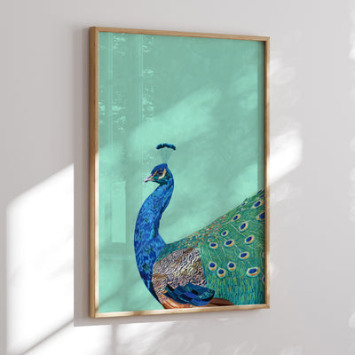 Peacock Pop - Art Print, Poster, Stretched Canvas or Framed Wall Art Prints, shown framed in a room