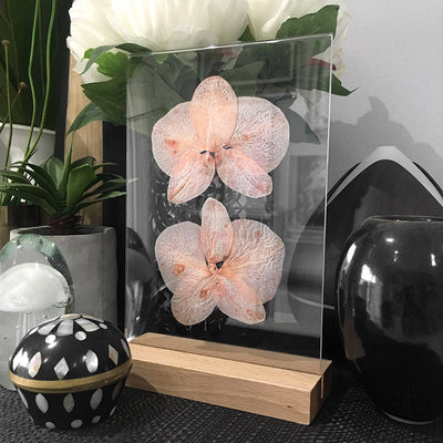 Clear Acrylic Photo Frame with Natural Wood Base, with some dry pressed orchids inside