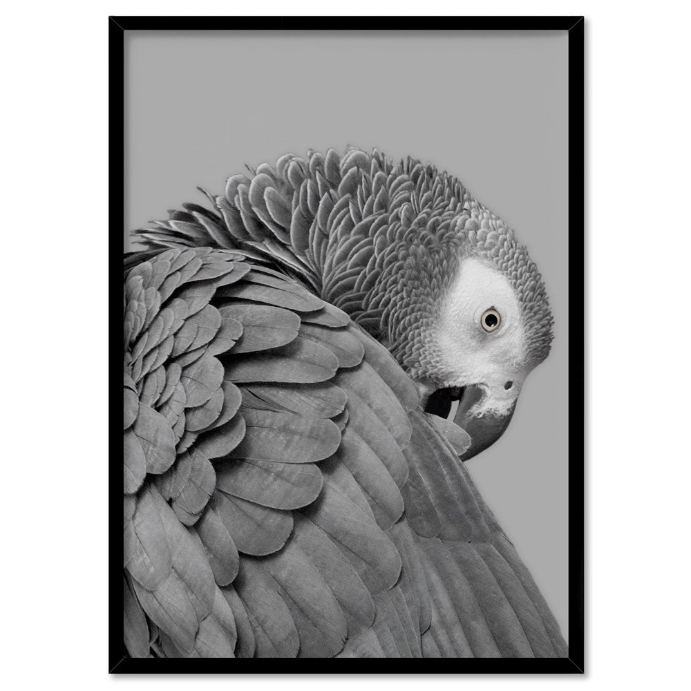 Grey Parrot - Art Print, Poster, Stretched Canvas, or Framed Wall Art Print, shown in a black frame