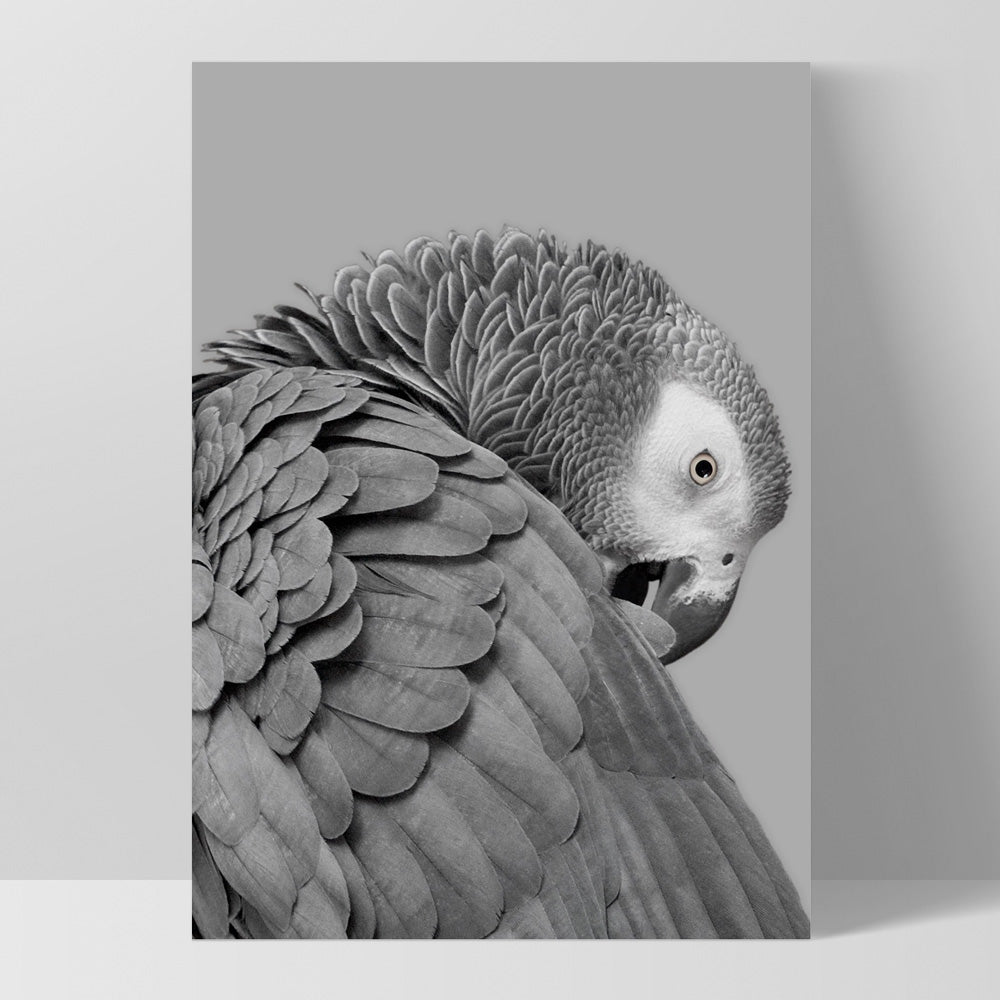 Grey Parrot - Art Print, Poster, Stretched Canvas, or Framed Wall Art Print, shown as a stretched canvas or poster without a frame