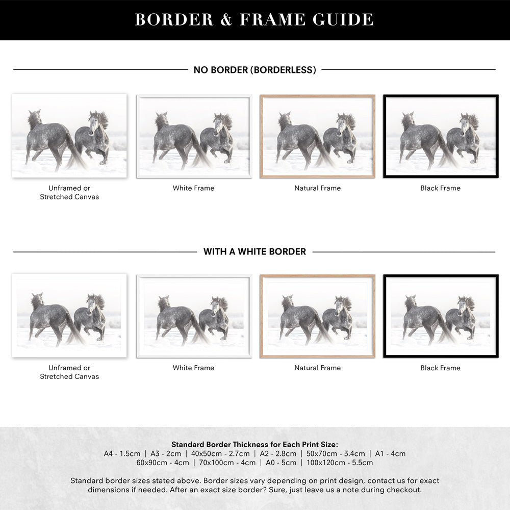Grey Horses Dancing Duo B&W - Art Print, Poster, Stretched Canvas or Framed Wall Art, Showing White , Black, Natural Frame Colours, No Frame (Unframed) or Stretched Canvas, and With or Without White Borders