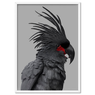 Black Palm Cockatoo - Art Print, Poster, Stretched Canvas, or Framed Wall Art Print, shown in a white frame