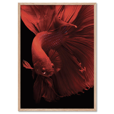 Japanese Red Betta Fighting Fish - Art Print, Poster, Stretched Canvas, or Framed Wall Art Print, shown in a natural timber frame