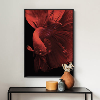 Japanese Red Betta Fighting Fish - Art Print, Poster, Stretched Canvas or Framed Wall Art Prints, shown framed in a room